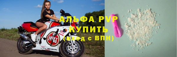 СК Аркадак